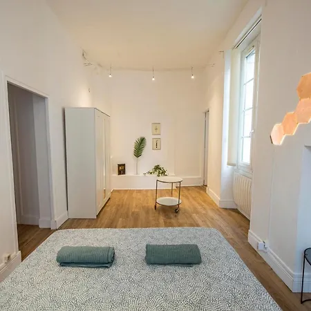 Coeur De Ville, Magnifique + Parking Apartment Pau